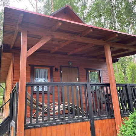 Domki Letniskowe Nad Jeziorem Kazub Cieciorka Ngoại thất bức ảnh